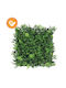 Tile Vertical Garden Various Greenery 50x50cm 01-80050-6(19250-20)