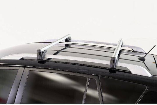 Menabo Sherman Silber Dachträger Toyota Rav 4 Xa30 2005-2012