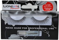 Lionesse Lashes