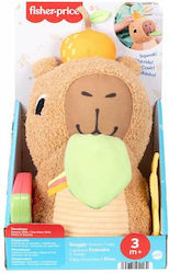Fisher Price Capybara pentru 3+ Luni