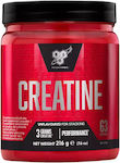 BSN Creatine 216gr