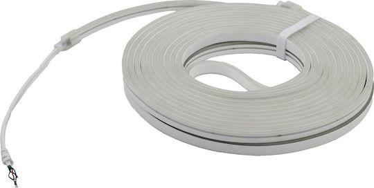 Adeleq Αδιάβροχη Ταινία LED 24V RGB Φως 10m Neon Flex