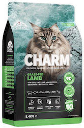 Charm 0.34kg Charm 0.34kg
