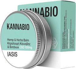 KannaBio Iasis Κεραλοιφή