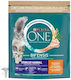 Purina One One Cat Dry Food with Chicken 0.8kg