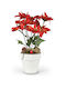 White Plastic Poinsettia Pot 7 Glitter Flowers 30cm 008734-w