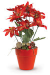 Avra Toys Christmas Decorative Alexandrian 40cm...