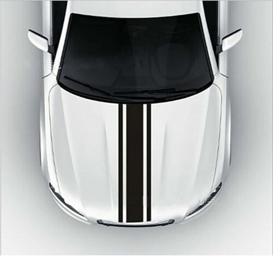 Carsun Decorative Car Sticker 27x120cm C7132