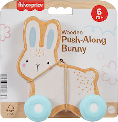 Fisher Price Bunny