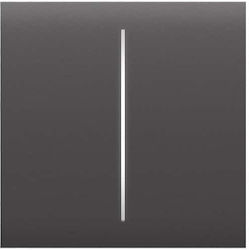Ajax Systems 2-Gang Wall Switch Double Gray