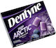 Dentyne Chewing gum Deep Arctic 14pcs 16.8gr