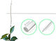 Plant Sticks Size 60cm