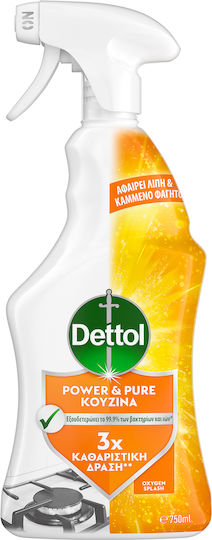 Dettol Power & Pure Καθαριστικό Spray Inox-Öfen 750ml 1Stück