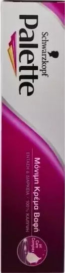 Palette Hair Dye 8.32 Light Blonde Golden 60ml