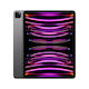Apple iPad Pro 6. Generation (2022) 12,9 Zoll G...