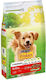 Friskies 4kg Dry Food for Adult Dogs with Beef