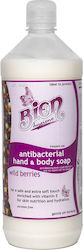 Antibacterial Liquid Soap 1100 Wild Berries