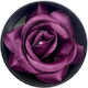 Absolut Beauty Ρουζ Purple