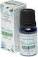 Stamford Plant Based Relaxing Aromatic Oil 10ml