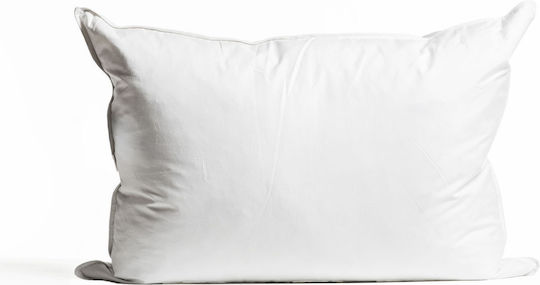 Silber Schlafkissen Neu Weiß Französische Entendaunen 60% Daunen Fp 550 Cuin 70x70 cm Hoch Silber Schlafkissen Neu Weiß Französische Entendaunen 60% Daunen Fp 550 Cuin 70x70 cm Hoch