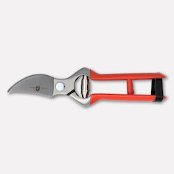 Paolucci Coltellerie Baumschere 356/21