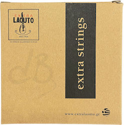 Extra Laouto Einzelsaite Nr. 010 Paar Extra Laouto Einzelsaite Nr. 010 Paar