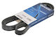 Dayco V-belt