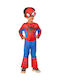 Spiderman Deluxe Cartoon Carnival Costume
