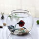 Aquarium Fish 25x14.5x14.5cm Black