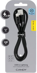 Blavec USB-A към Lightning 1м Blavec USB-A към Lightning 1м