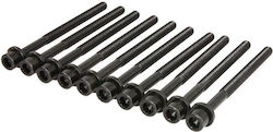 Reinz Cylinder Head Bolt Set