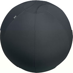 Leitz Ergo 75cm Dark Grey Exercise Sitting Ball 65430089