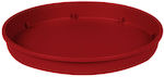 101655 Round Plate Pot Bordeaux 12x12cm