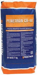 Penetron Cr-90 22,70 kg Grau Schnellabbindender Reparaturmörtel für kleine Reparaturen bis zu 13 mm Dicke