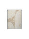 Canvas Painting Shells Fylliana Fl0054 White-Beige 60x80cm Fylliana 374-225-689