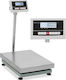 Steinberg Systems Balkenwaage mit Säule mit einer Wiegekapazität von 300kg