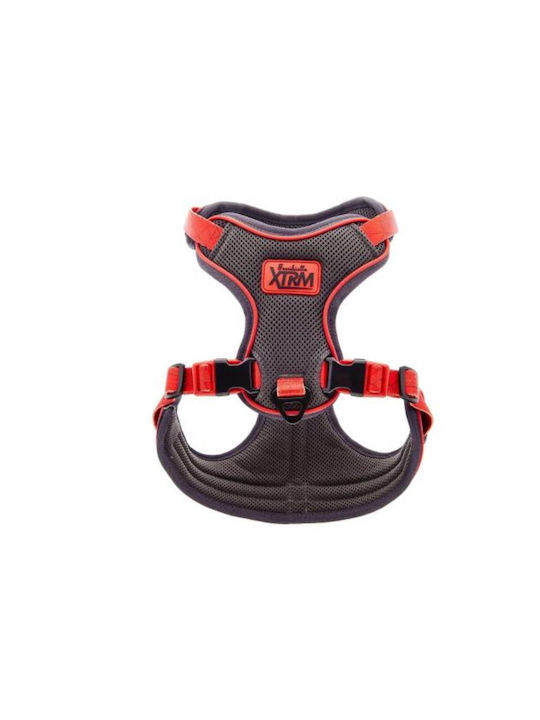 Harness Aria S 53 To 60cm X 2cm Red