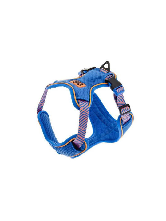 Harness Aria S 53 To 88cm X 2cm Blue