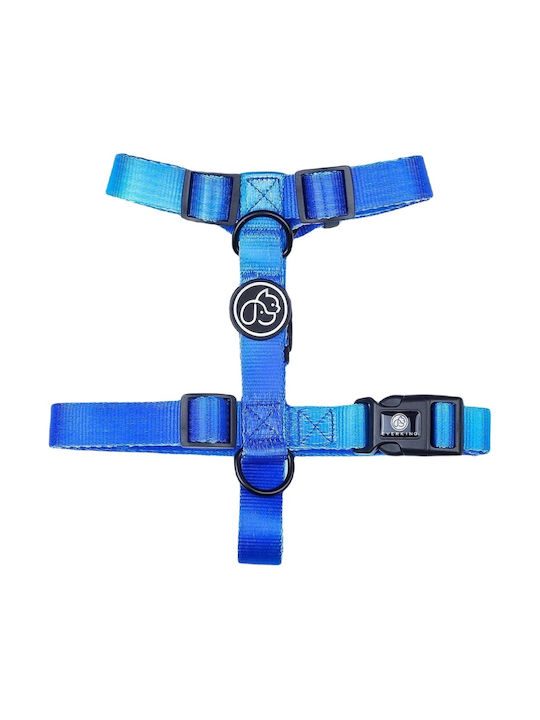 Everking Harness Large Blue