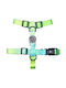 Everking Harness Large Green