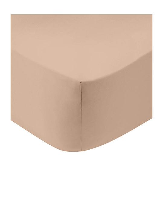 Sunshine Sheet Super-Double with Elastic 160x20...