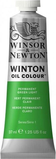 Winsor & Newton Сет маслени бои Зелени 37мл 1бр