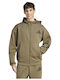 Z.N.E. Sweatshirt mit Kapuze Grüne