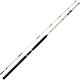 Shimano Vengeance Ax Boat Καλάμι Ψαρέματος για Συρτή 2.4m 300gr