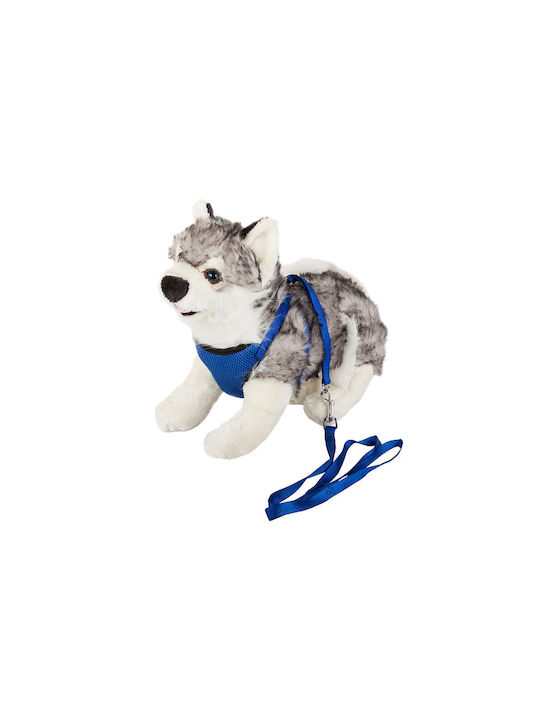 Hundegeschirr Blau 19362
