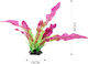 Tpster Διακοσμητικο Φυτο Ενυδρειου Sc-2419a 10*23cm 37691