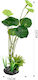 Tpster Tpster Aquarium Dekorative Pflanze Sc682...