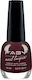 Faby Glossy Βερνίκι Νυχιών The Importance Of Being Earnest 15ml