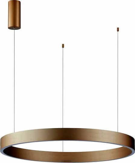 Italux LED Lumini Suspendate Auriu