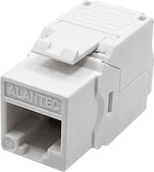 A-LAN Netzwerk-Schlüsselstein 1 Stück A-LAN Netzwerk-Schlüsselstein 1 Stück